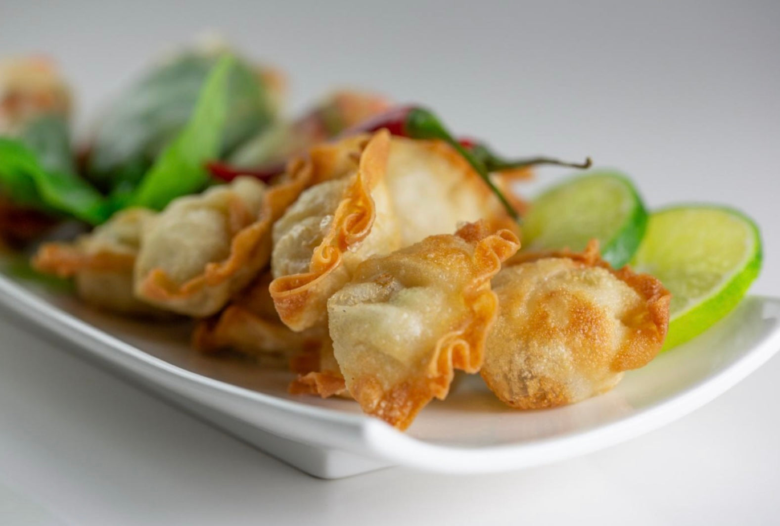Pork & Vegetable Wonton